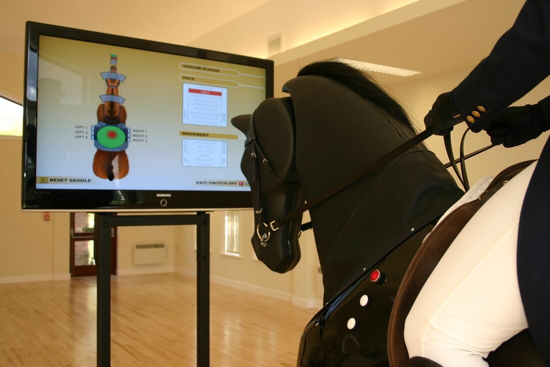 astronaut Taiko buik Vast en zeker Paarden Simulator Les - Maakt paardrijden toegankelijk voor iedereen